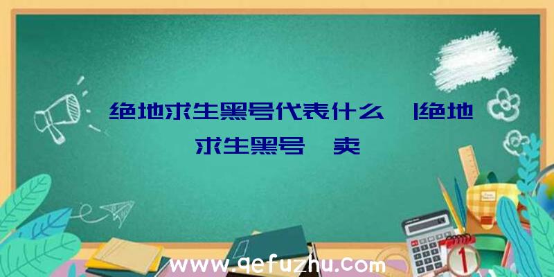 「绝地求生黑号代表什么」|绝地求生黑号咋卖